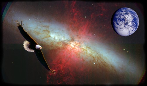 CLICK TO ENTER THE DISCUSSION FORUM